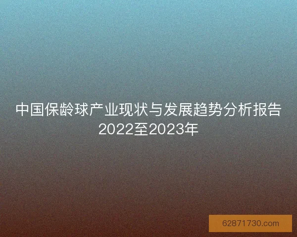 中国保龄球产业现状与发展趋势分析报告2022至2023年