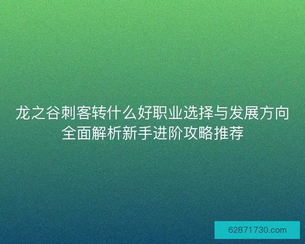 龙之谷刺客转什么好职业选择与发展方向全面解析新手进阶攻略推荐